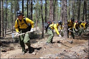 In this 2012 photo provided by the Cronkite News, the Granite Mountain Hotshot crew clears a fire line through the forest. 