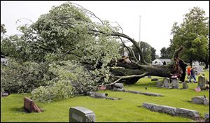 Bob and Becca Bauer of Fostoria examine an uprooted tree at Fountain Cemetery in Fostoria that was uprooted by a powerful storm that swept the region.