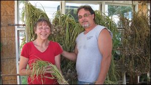 Becky McMordie and  Michael VanBrunt grow, dry, and process Italian and Mexican garlic varieties to use in their MyBecs spice mixes.