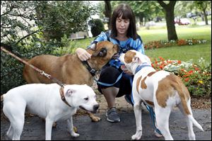 Jean Keating embraces her dogs Milo, 4, center, Wendy, 3, left, and Chief, 8 months old. Ms. Keating says she would like to foster more dogs but can’t because of limits placed by a city ordinance.