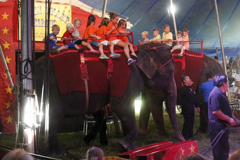 KM-Circus-children-elephants