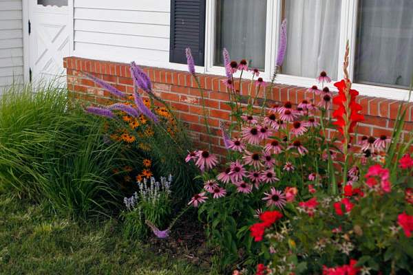 Flowers-in-the-front-of-Beatrice-Miringu-s-home