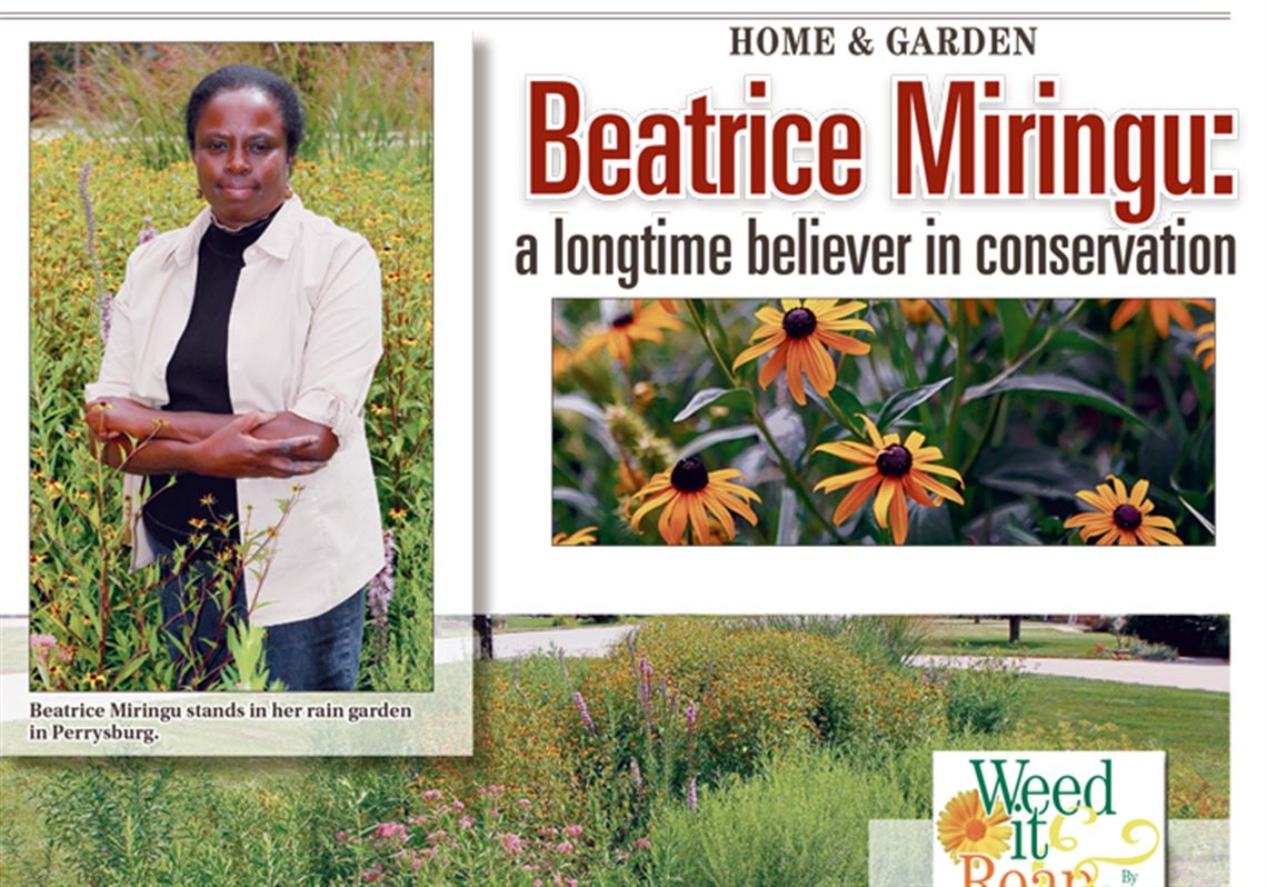 Beatrice Miringu a longtime believer in conservation The Blade