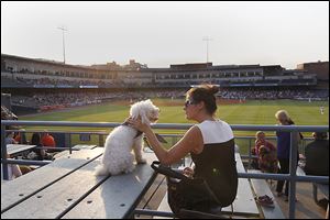 Maggie Rowe, 24, of Sylvania and her dog Otis enjoy a canine's night out at the ball park.