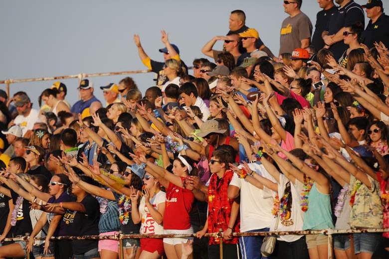 Perrysburg-Whitmer-Panthers-fans