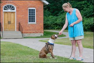 Barbara Costilla, who is fostering Grady for Planned Pethood, shares a treat with him at Wildwood Metropark.