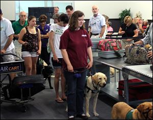 Members and volunteers from Guide Dogs for the Blind, GDB, take a K9 flight class, as they wait in line at a mock TSA screening at the Air Hollywood K9 flight school in Los Angeles.