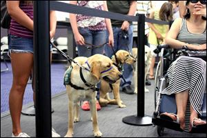 With more dogs racking up air miles these days, it makes sense to take obedience school to a new level, said Heidi Heubner, who directs volunteers, including airport therapy dogs, at Los Angeles World Airport.