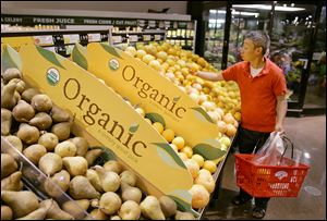 FILE - In this June 15, 2007, file photo, a customer picks out fruit while shopping at the Hannaford Supermarket in Quincy, Mass. The United States and Japan have agreed to make it easier to import each other's organic products, the latest step in a global effort that could give consumers more, and cheaper, access to organic food.  The Agriculture Department is planning to announce Thursday, Sept. 26, 2013, that organic products certified in Japan or in the United States may be sold as organic in either country.  (AP Photo/Stephan Savoia, File)