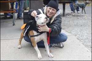 Staci Leupp dresses up Montana before participating in a costume contest Saturday sponsored by the Lucas County Pit Crew at Wildwood Metropark for  National ‘Pit Bull’ Awareness Day.