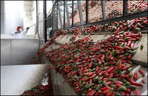 A worker unloads chili peppers for making of Sriracha chili sauce at the Huy Fong Foods factory in Irwindale, Calif. The maker of Sriracha hot sauce is under fire for allegedly fouling the air around its Southern California production site.