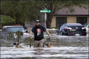 A man walks with two dogs through floodwaters on Quicksilver Boulevard today in Austin, Texas.