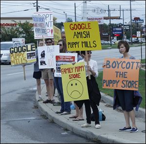 People pro-tested the Family Puppy store at Talmadge Road and Monroe Street last year. A former employee has accused the store of improperly taking care of its dogs.