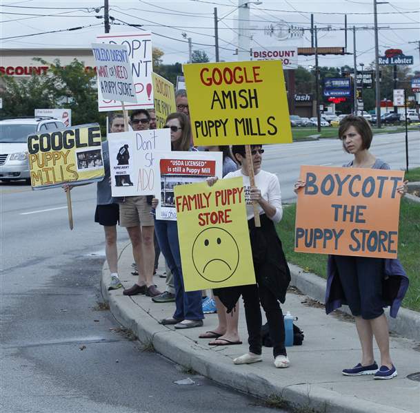 CTY-puppy06p-protest