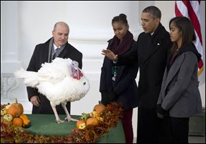 President Obama, with daughters Sasha, second from left, and Malia, right, carries on the Thanksgiving tradition of saving Popcorn the turkey from the dinner table with a 