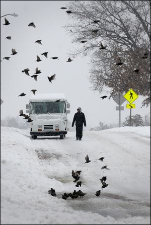 A pedestrian walks down a street as a flock of birds fly by after heavy snowfall moved through the region on Friday in Carbondale, Ill. 