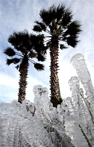 APTOPIX-Deep-Freeze-Florida