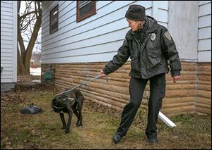 Nancy Schilb, animal cruelty investigator for the Toledo Area Humane Society, removes a dog — a Labrador christened ‘Adelaide’ —from a home on Broadway last week. 