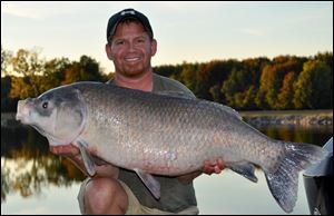 Toledo native Brent McGlone had this 40.80 pound buffalo (a member of the sucker family) recently certified as an Ohio record. Mr. McGlone encountered the huge buffalo while bowfishing in Sandusky Bay in the pre-dawn hours on Oct. 11. He had been in pursuit of the record for months, often fishing throughout the night.