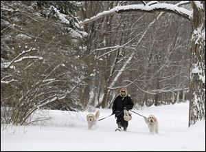 Julia Pollock wears snow shoes to take her goldendoodles, Cody, left, and Bond, right, for a walk in the fresh snow today in Shaker Heights, Ohio.  