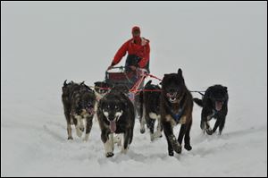 Matt Failor, an Ohio State grad whose parents are natives of the Toledo area, is competing in the historic Iditarod Trail Sled Dog Race for the third time.