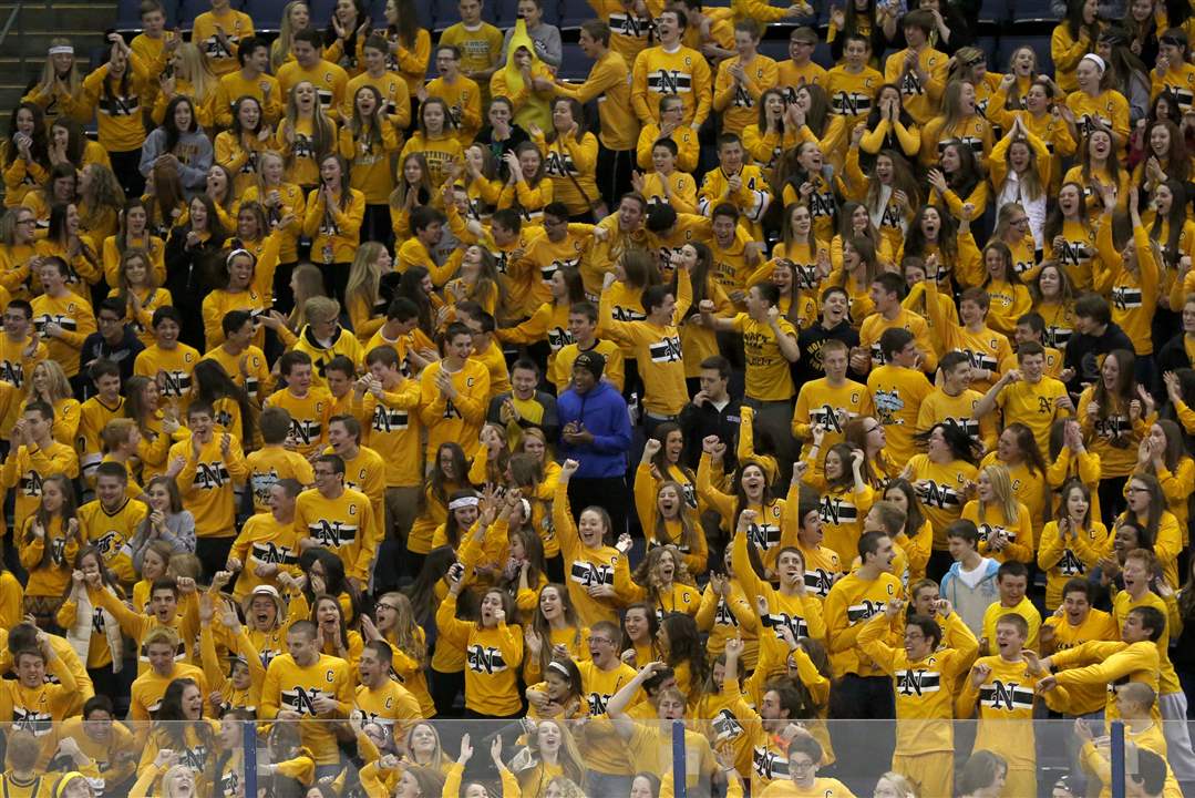 SPT-STATEHOCKEY08p-Wildcats-fans