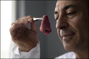 Professor Alexander Seifalian with a synthetic polymer nose at his research facility in the Royal Free Hospital in London.