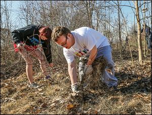 Autumn Bacon of Toledo and Travis Chitwood of Lambertville, Mich., join forces Saturday to pull out grapevine as part of Global Youth Service Day.