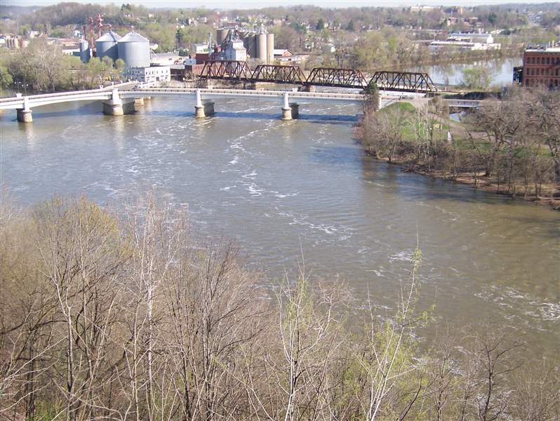 Muskingum-River-Asian-carp-DNA