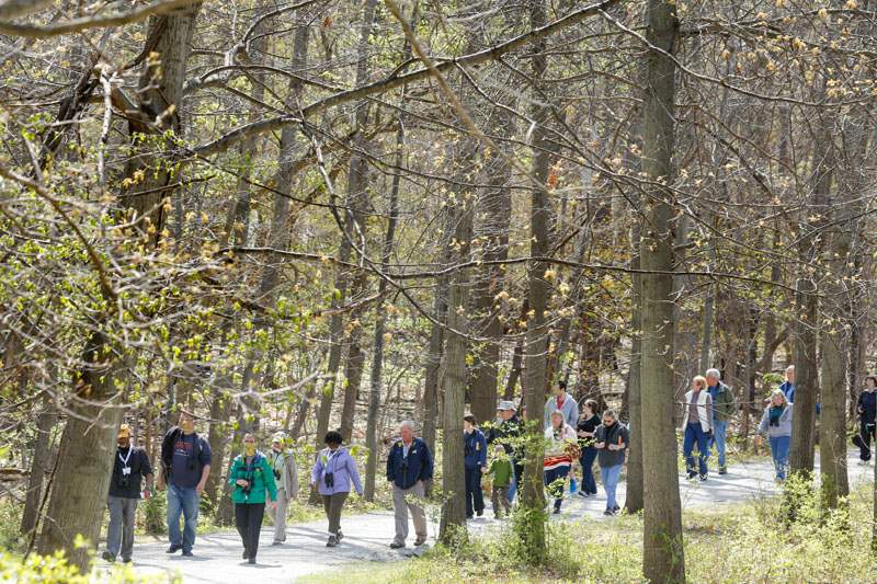 Birders-walk-a-trail