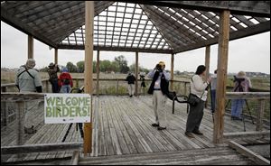 A bird watching tour group with the Black Swamp Bird Observatory, views birds in the Pearson Metropark North Wetland Mitigation Bank in Oregon on Friday.