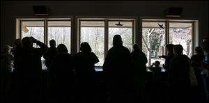 Birders use a window to spy on a variety of birds at Swan Creek Metropark. Windows are an easy way for those with health or mobility concerns to enjoy the birds without navigating any trails.