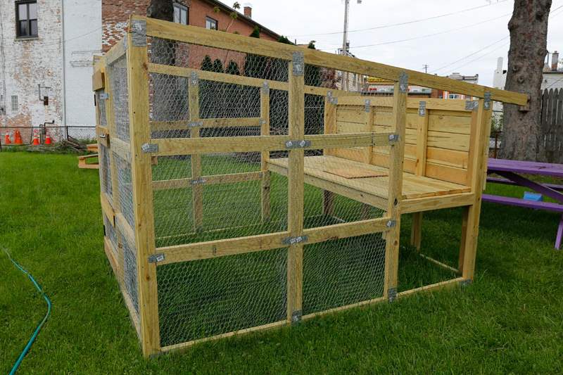 FEA-wiarjoe20pA-chicken-coop-is-being-built