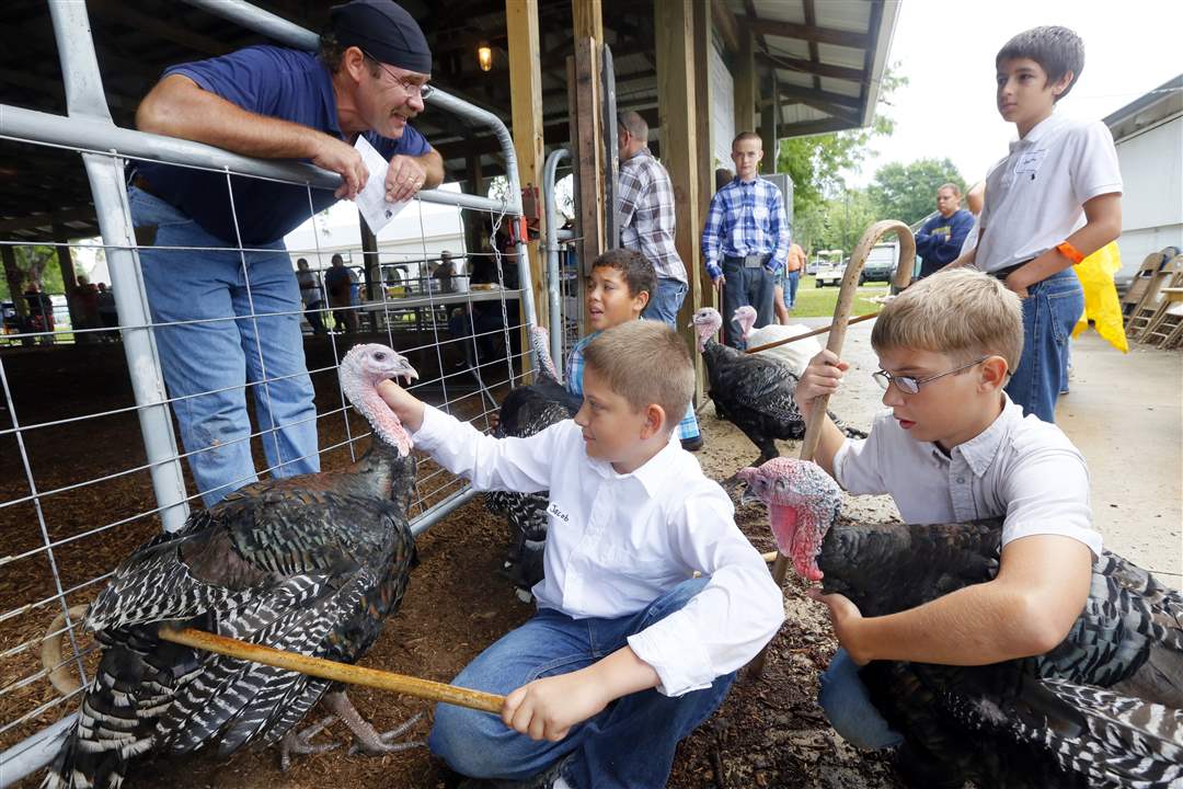 Lucas County Fair begins The Blade