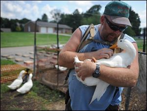 Iraq war veteran Darin Welker, 36, holds one of his ducks at his home in West Lafayette, Ohio. 