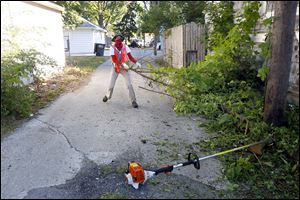 Volunteer Mykalah Anderson, 19, pulls foliage on Earl Street.