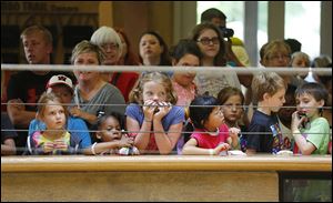 A crowd watches as elephant Renee paints at the Toledo Zoo.