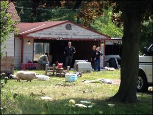 Lucas County Sheriff‘‍s Office and the Toledo Area Humane Society inspect a home on South Crissey Road.