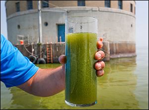 Microcystis fills a glass of Lake Erie water near the Toledo water intake crib.