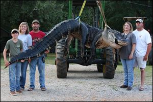 An alligator weighing 1011.5 pounds measuring 15-feet long was caught in the Alabama River near Camden, Ala., by Mandy Stokes at right, along with her husband John Stokes, at her right, and her brother-in-law Kevin Jenkins, left, and his two teenage children, Savannah Jenkins, 16, and Parker Jenkins, 14, all of Thomaston, Ala. 