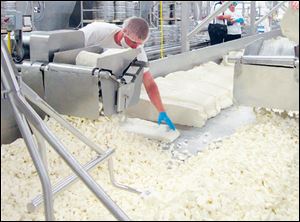 Blocks of cheese are broken into curds.