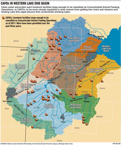 Corporate farms get blame as key water-pollution culprit - The Blade