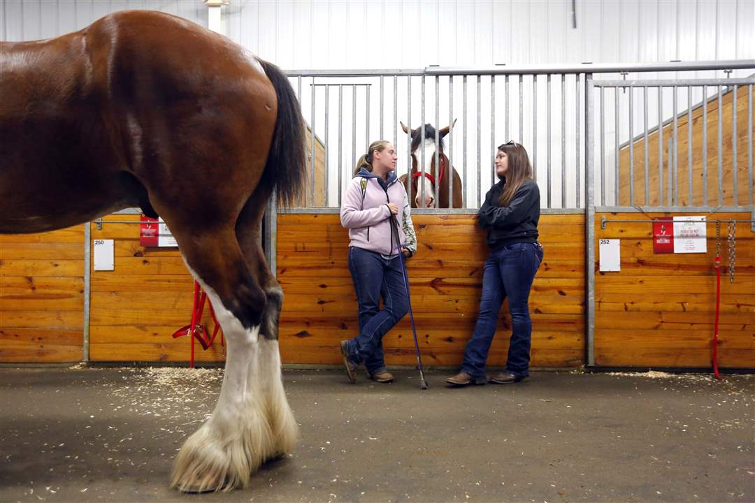 CTY-CLYDESDALES19p-Alyssa-Toupin