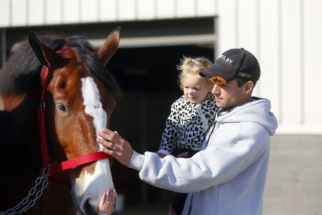 CTY-CLYDESDALES19p-Eliza-Bowman