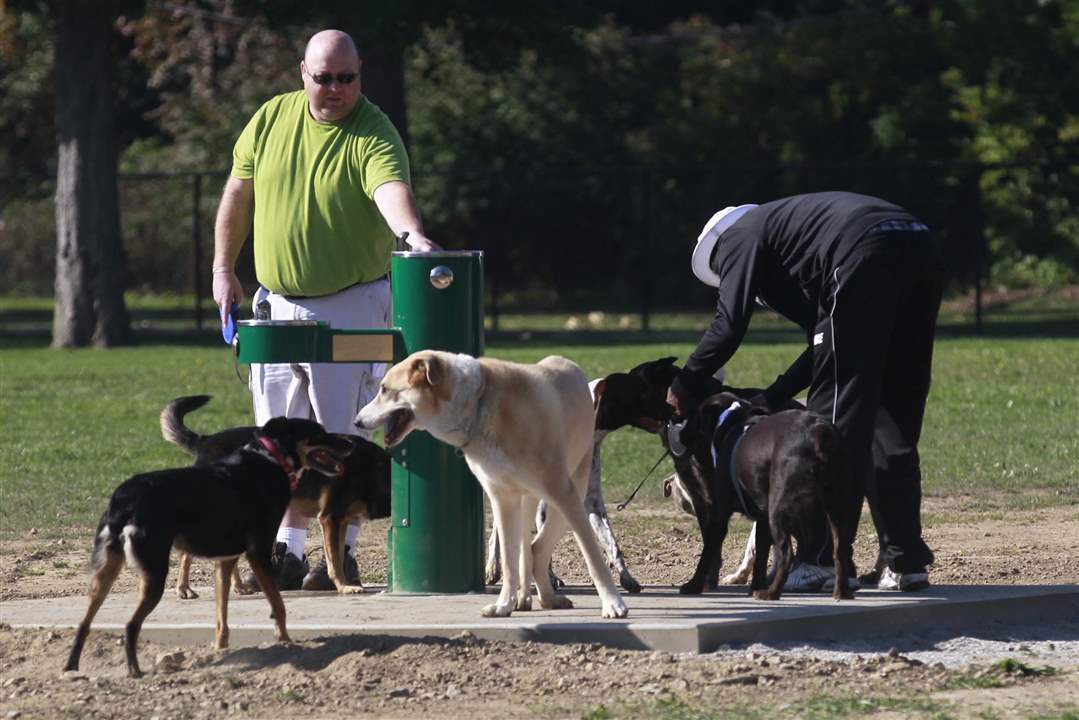 CTY-DOGPARK28p-Steven-Head