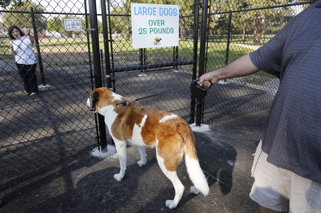 CTY-DOGPARK28p-Molly