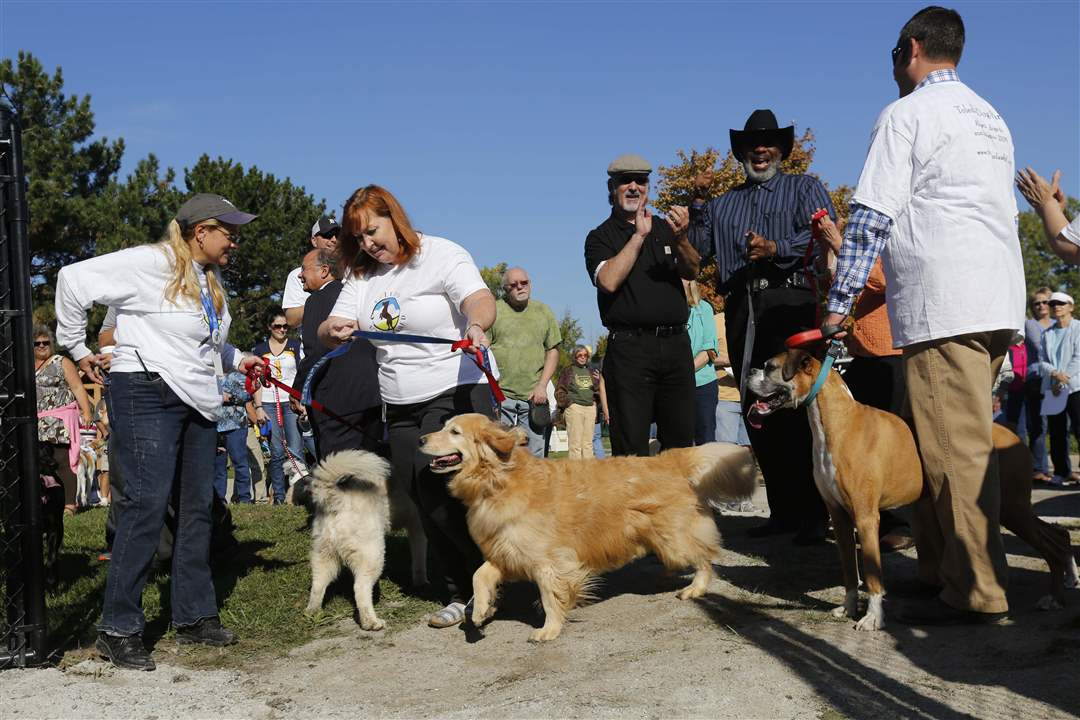 CTY-DOGPARK28p-Jeannie-McCarthy