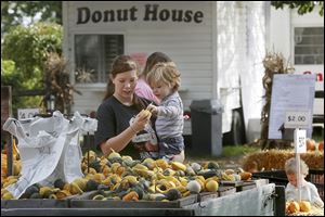 Samantha Berlincourt of Oregon helps her son Jesse, 2, pick out gourds at Fleitz Pumpkin Farm in Oregon. With a colder, wetter summer, many of the pumpkins are turning just now. Consumers will find top-quality pumpkins at prices no higher than last year.