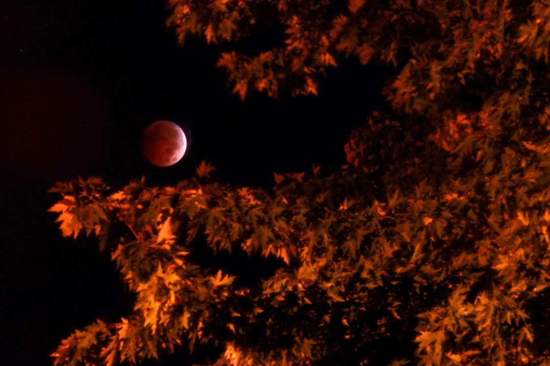 MAG-lunareclipse08p