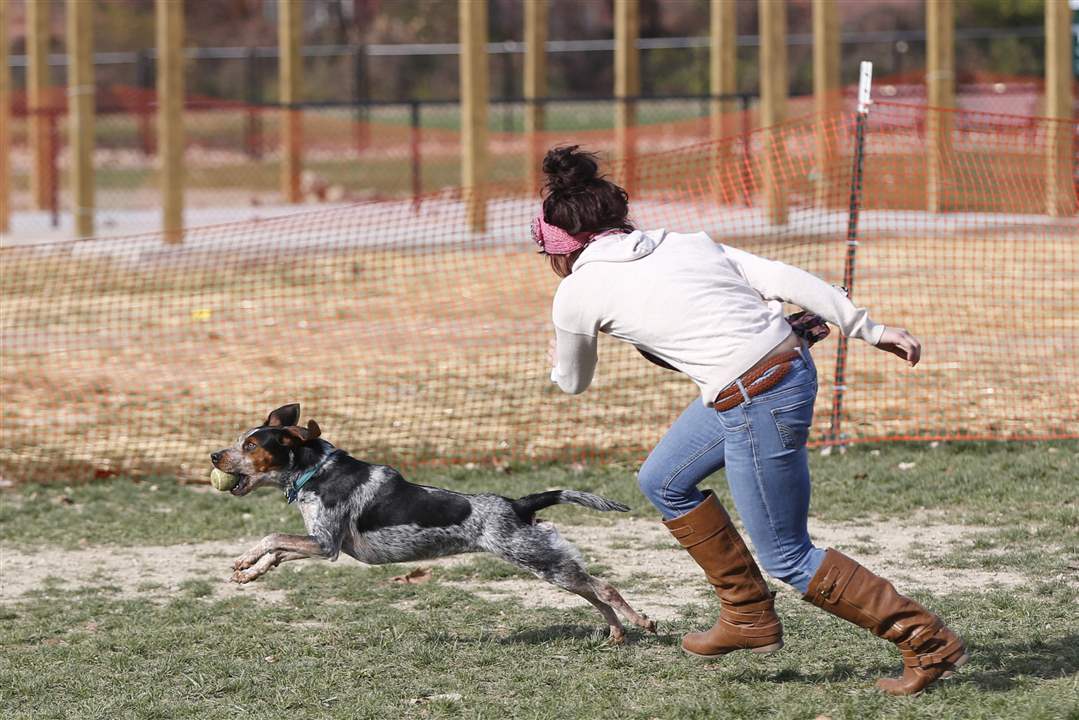 CTY-dogpark05p-Chloe